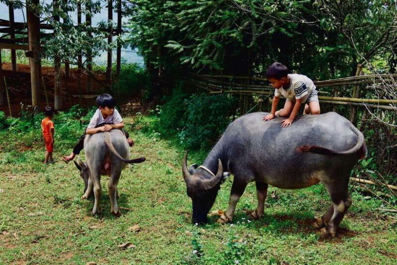 Sapa: Discover the Secrets of Red Dao herbal bath - Key Points