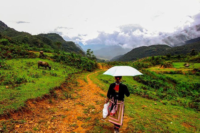 Sapa Easy Trekking Tour 1 Day - Rice Paddies and Cultures - Detailed Review of the Sapa Easy Trekking Tour
