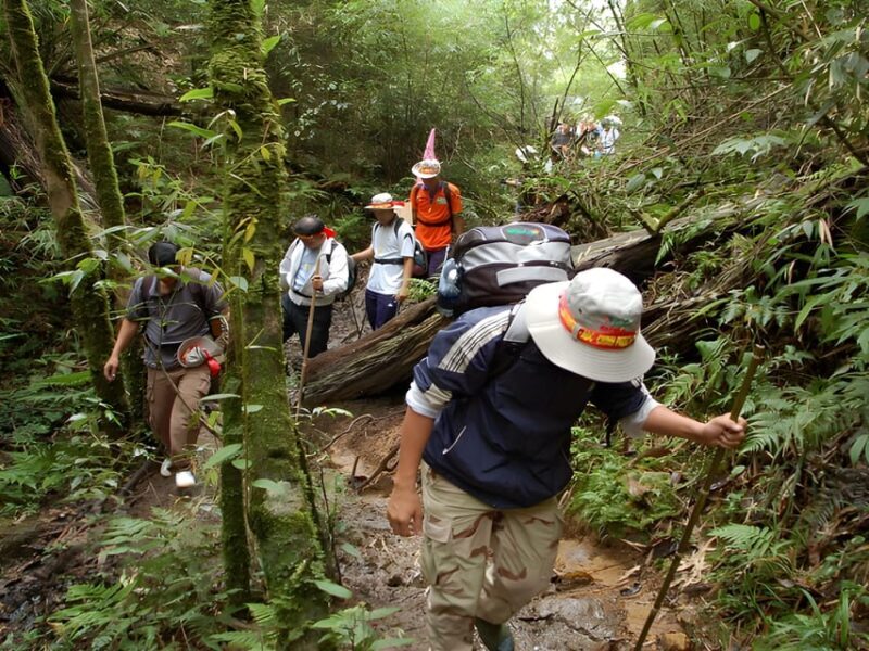 Sapa: Epic 2-Day Trek to Fansipan Mountain Peak - FAQ