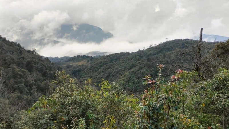 Sapa: Fansipan Mountain 2-Day Trekking Tour - The Itinerary Breakdown