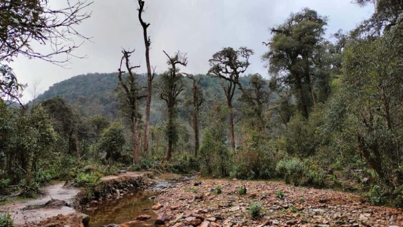 Sapa: Fansipan Mountain 2-Day Trekking Tour - The Practical Side: Transportation, Guides, and Group Size