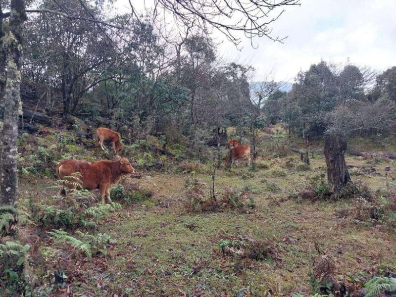 Sapa: Fansipan Mountain 2-Day Trekking Tour - What to Pack and Prepare