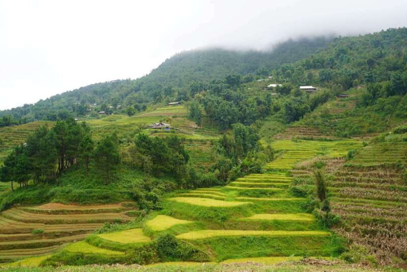 Sapa: Full-Day Hike to Ta Phin & Cat Cat Village with Lunch - Final Thoughts