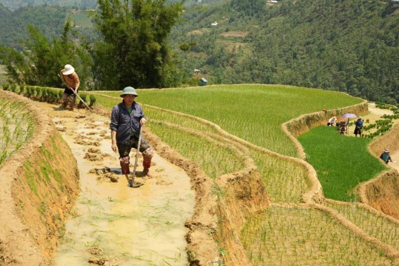 Sapa hard trekking villages and homestay 2 days 1 night trip - An In-Depth Look at the Tour Experience