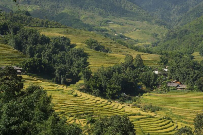 Sapa hard trekking villages and homestay 2 days 1 night trip - Final Thoughts