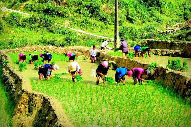 Sapa Hmong Family Trekking Adventures - What You Can Expect from the Itinerary