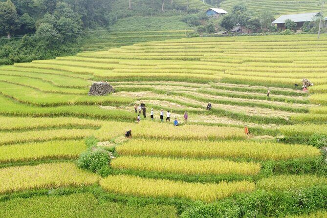Sapa Journey 3D2N: 3 Star Hotel Stay & Village Homestay - Key Points