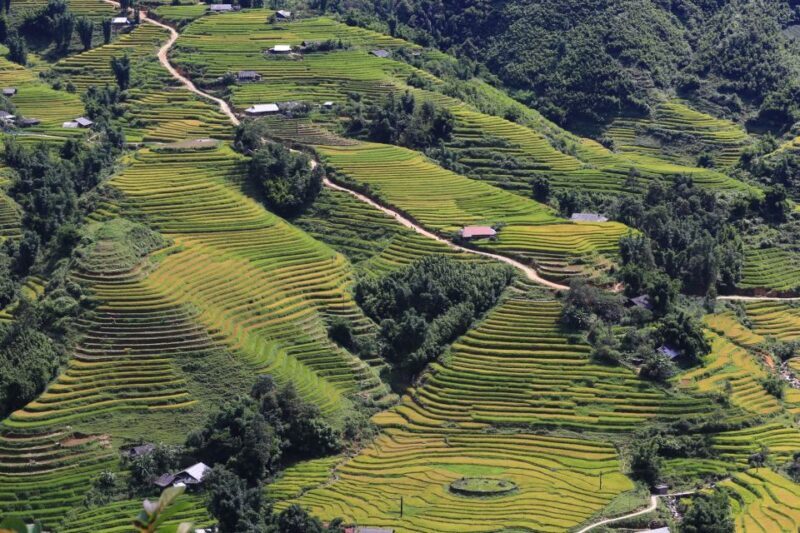 Sapa: Local Exploration on a Guided Motorbike Tour - Who Should Consider This Tour?