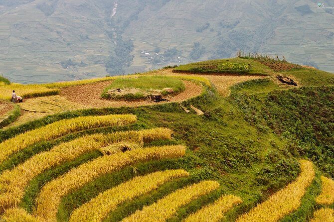 Sapa Motorbike Tour 1 Day| See All Of Rice Fields & Valleys in One Day - Authentic Cultural Insights