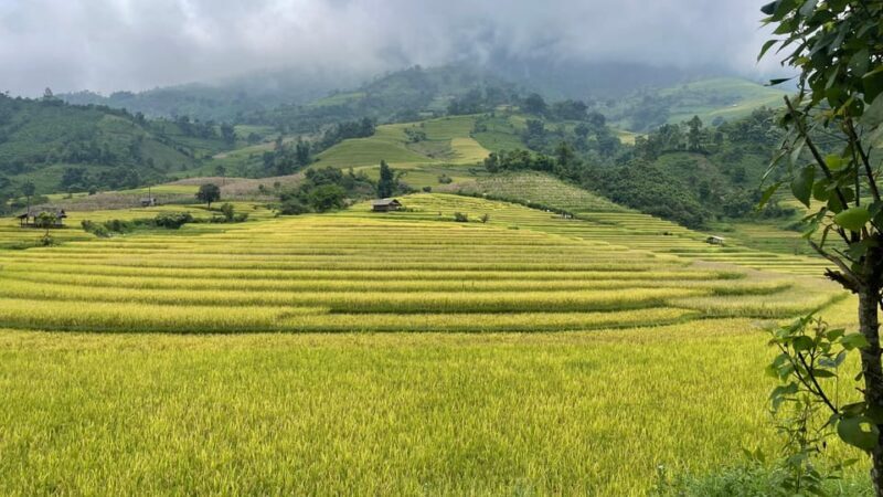 Sapa: Motorbike Tour 1 Day Visit Waterfalls & Local Villages - Final Word: Is It Worth It?