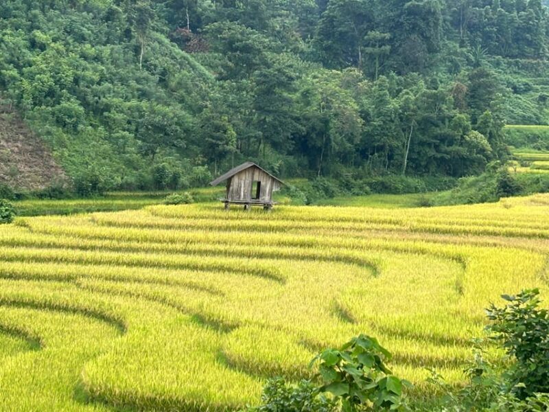 Sapa: Motorbike Tour 1 Day Visit Waterfalls & Local Villages - FAQ