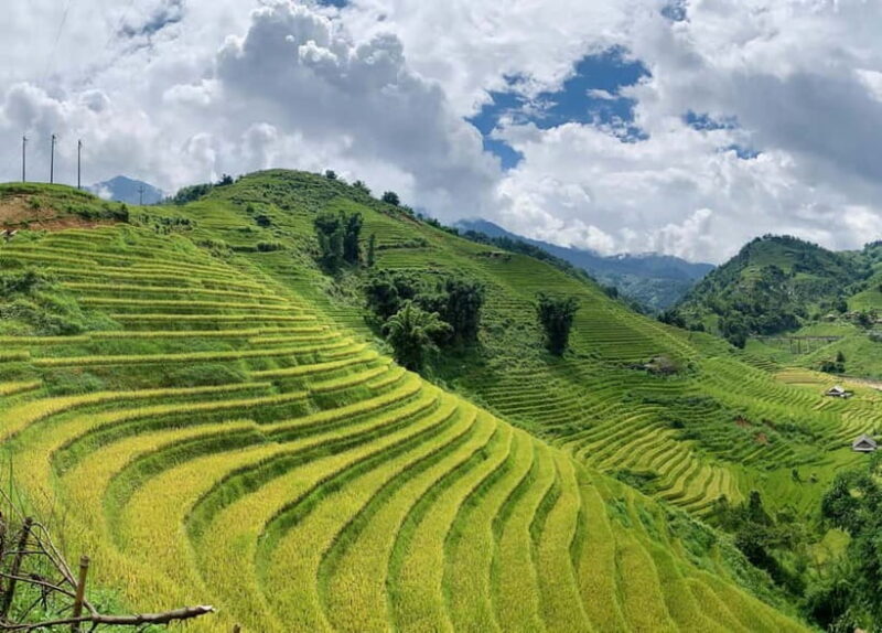 Sapa: Motorbike Tour to Hidden Villages & Terraced Fields - FAQs