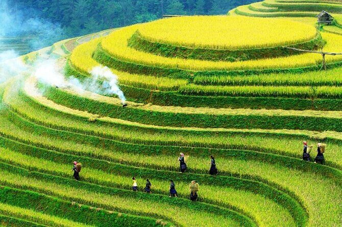 Sapa No-Trek Escape: Ta Van Village, Muong Hoa Valley, Spa & Café - A Practical Guide to the Sapa No-Trek Escape Tour