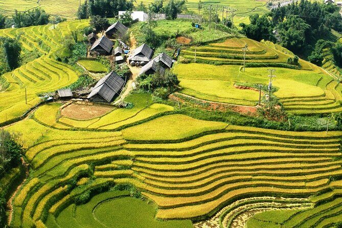 Sapa No-Trek Escape: Ta Van Village, Muong Hoa Valley, Spa & Café - Key Points