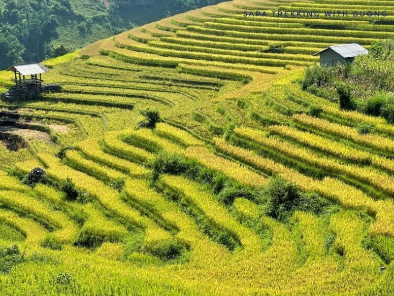 Sapa: Private Muong Hoa Valley and Homestay Trekking 2-Day - What Sets This Tour Apart