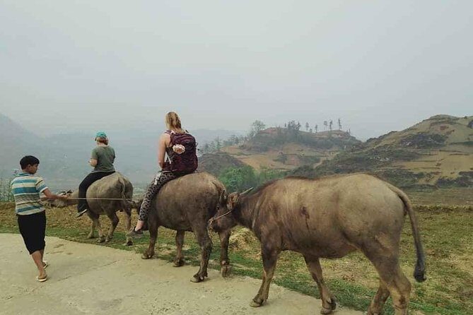 Sapa private: One day of funny Buffalo Ride & Trekking Tour - Starting Point and Morning Activities