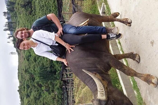 Sapa private: One day of funny Buffalo Ride & Trekking Tour - Trekking Through Ta Phin and Suoi Ho