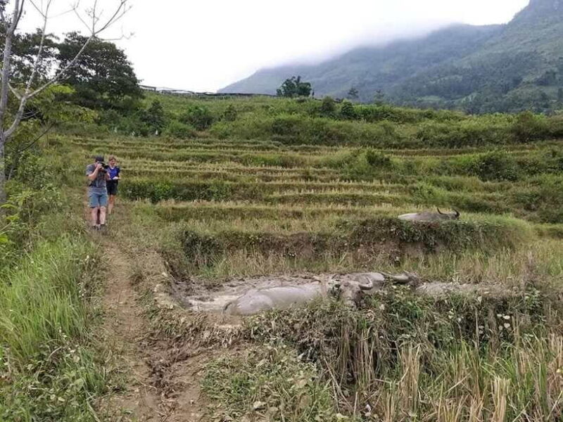 Sapa: Private trek to Muong Hoa Valley - The Value and Who It’s Best For