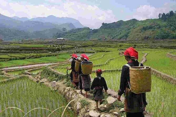 Sapa Private Trekking Through Rice Terraced Fields - 1Day - Overview of the Sapa Private Trekking Experience