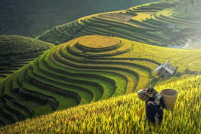 Sapa Trek Tours -2D1N Stay At 3*** -TRANSFER BY SLEEPING BUS - Exploring the Sapa Trek Tour in Detail