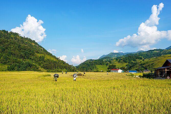 Sapa Trekking 3 Days 2 Nights (Homestay) - Departure From Hanoi - Logistics & Practicalities