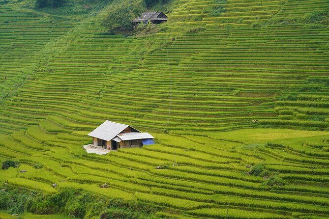 Sapa Trekking 3 Days 2 Nights (Homestay) - Departure From Hanoi - The Value Proposition