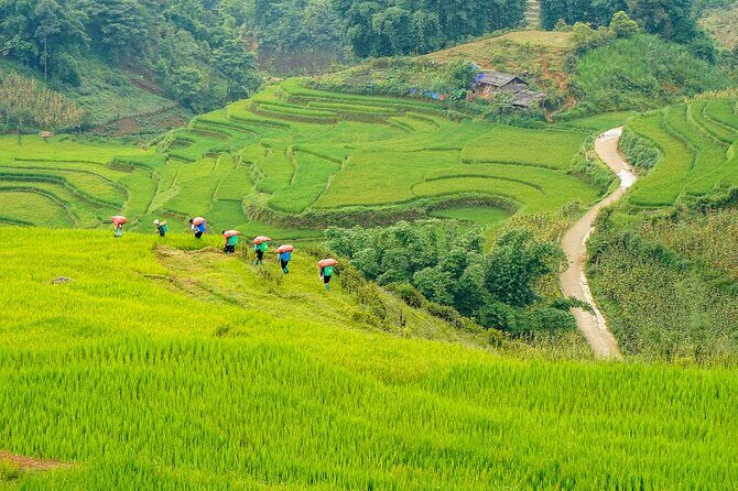 Sapa Trekking 3 Days 2 Nights (Homestay) - Departure From Hanoi - Who Would Enjoy This?