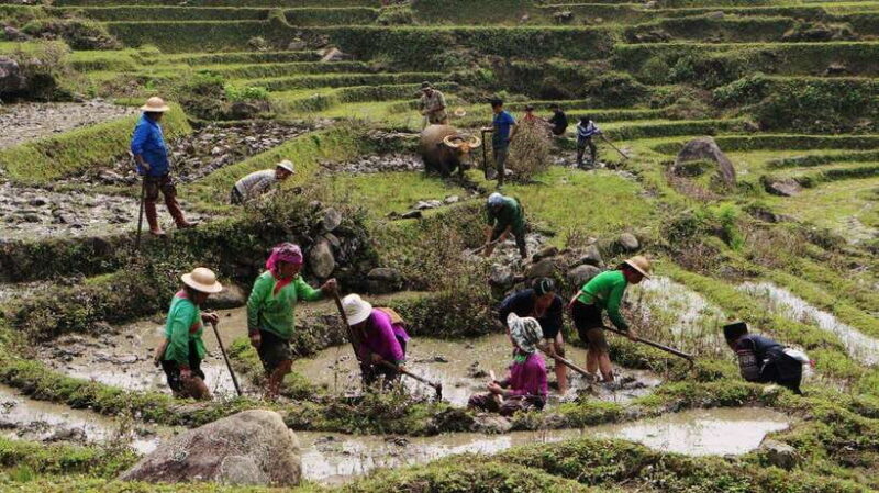 Sapa Trekking Bargains With Local Guide - Exploring Sapa: A Deep Dive into the Trekking Experience