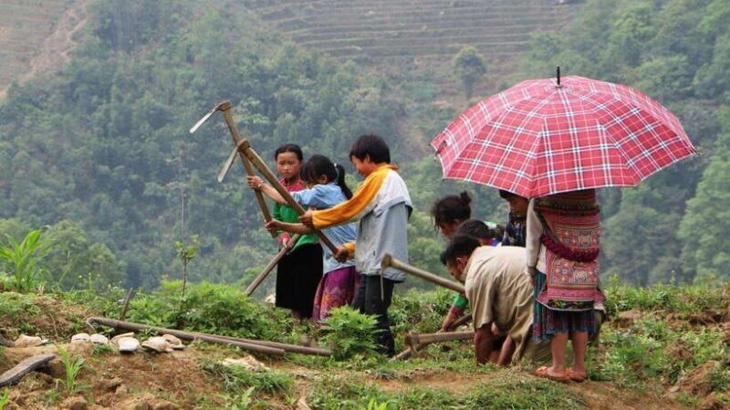 Sapa Trekking Bargains With Local Guide - What Makes This Tour Stand Out?
