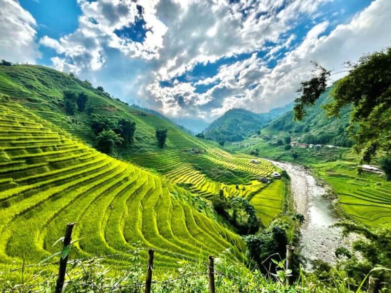 Sapa Trekking Bargains With Local Guide - The Final Word: Is This Tour Worth It?