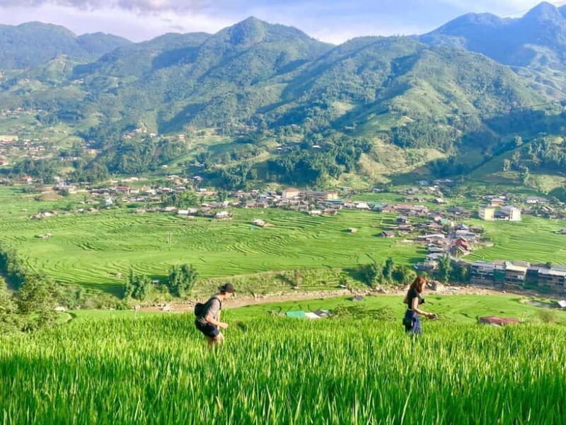 Sapa Trekking Discover Terraced Fields & Ethnic Villages - Exploring the Itinerary: What to Expect