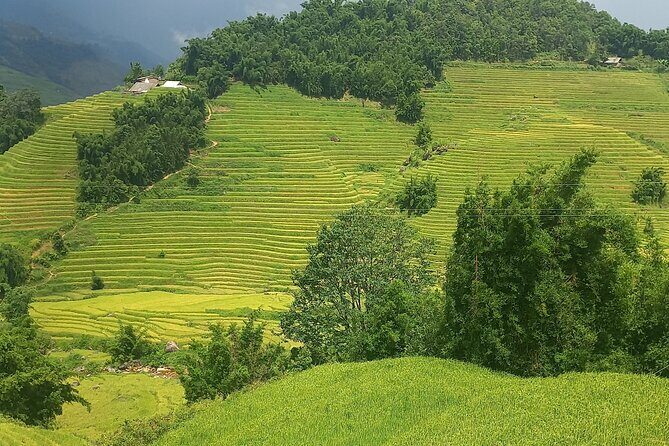 Sapa Trekking / Hiking through Sapa Valley with native Hmong - Exploring the Sapa Trekking Adventure