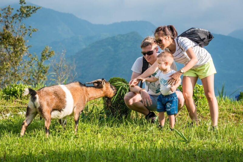 SAPA TREKKING & HOMESTAY: 3D2N - An In-Depth Look at the 3-Day Trekking Experience