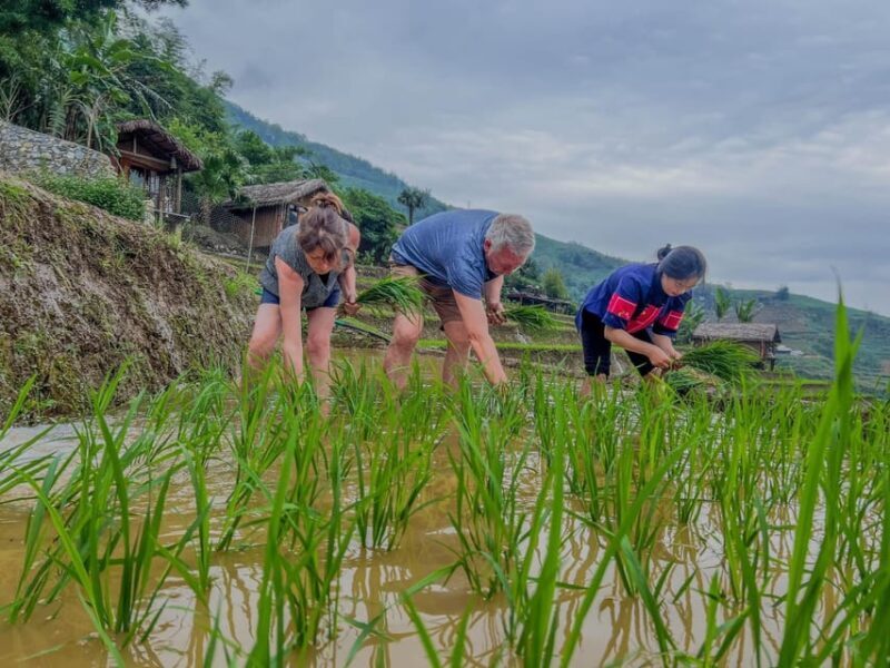 SAPA TREKKING & HOMESTAY: 3D2N - Final Thoughts