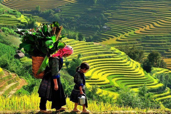 Sapa Trekking Tours - 2 Days 1 Night Stay At Homestay - The Itinerary in Detail
