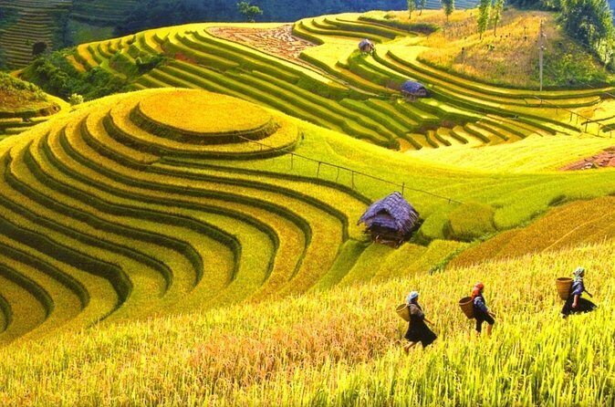Sapa Trekking Tours - 2 Days 1 Night Stay At Homestay - FAQs