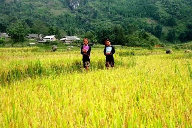 Sapa Valley Trek and Homestay - 3D2N Private Tour - Practical Considerations: Timing, Comfort, and Flexibility