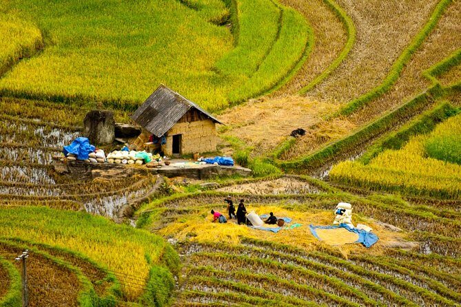 Sapa Villages trekking and homestay 2 Days/ 1 night package tour: best selling - An Authentic Journey into Sapa’s Countryside