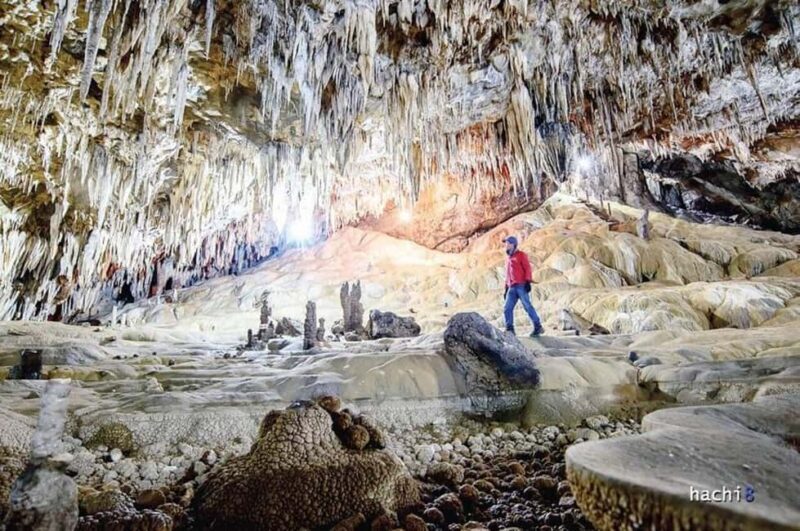 Sapa: Waterfalls, Tea Farm, and Cave Full-Day Tour by Car - Key Points