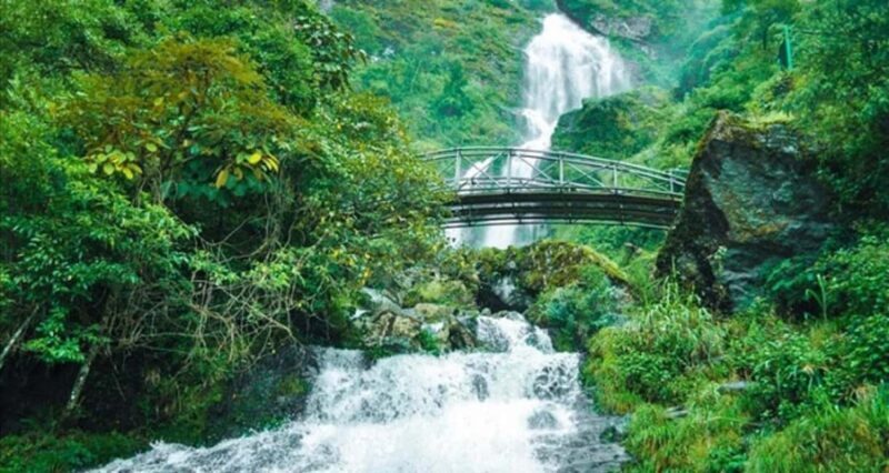 Sapa: Waterfalls, Tea Farm, and Cave Full-Day Tour by Car - Why Choose This Tour?