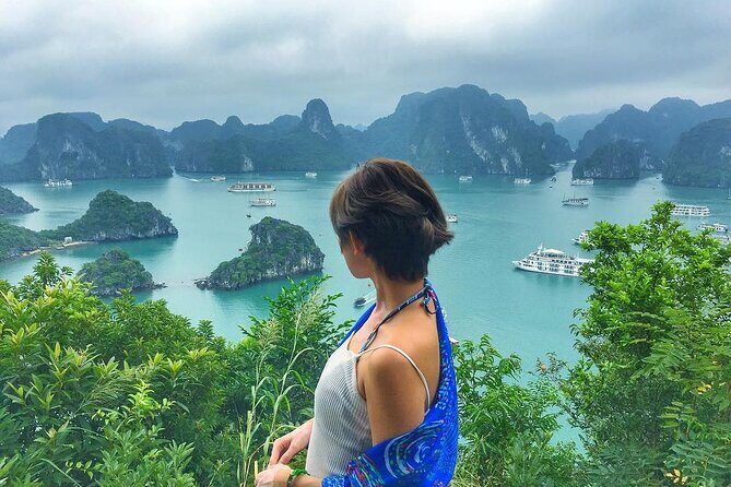 Sapphire Cruise Halong Bay 2Days 1Night on 4 Star Cruise - Who Should Consider This Tour?