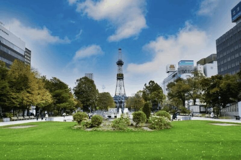 Sapporo: City Highlights Guided Tour with Local Guide - Key Points