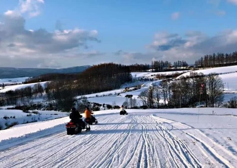 Sapporo: Furano Lavender & Biei Blue Pond Tour with Lunch - Who Will Love This Tour?