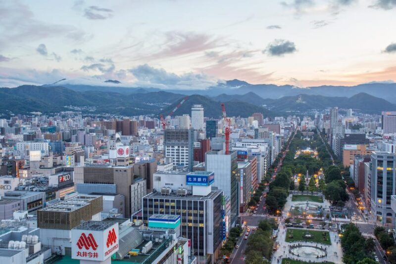 Sapporo Highlights: Art, Nature, and Architecture Tour - Practical Details and What You Get