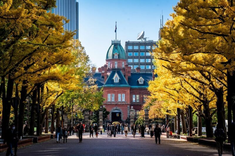 Sapporo Highlights: Art, Nature, and Architecture Tour - The Sum Up