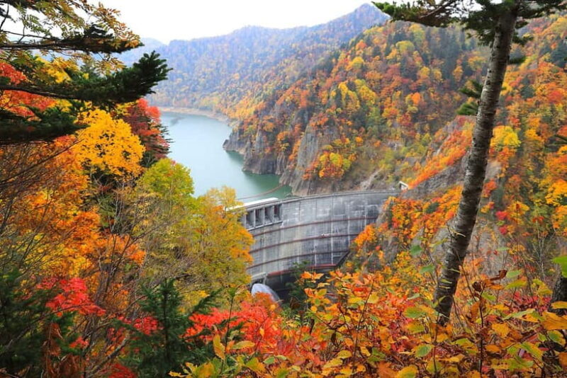 Sapporo in Autumn: Hoheikyo Dam and Hoheikyo Onsen Tour - Practical Details and Value