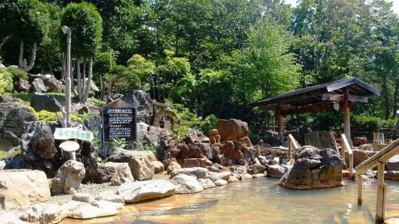 Sapporo in Autumn: Hoheikyo Dam and Hoheikyo Onsen Tour - Who Should Consider This Tour?
