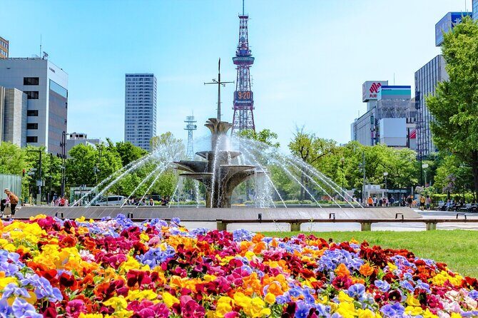 Sapporo Morning Walking Tour - The Sum Up: Is It Worth It?