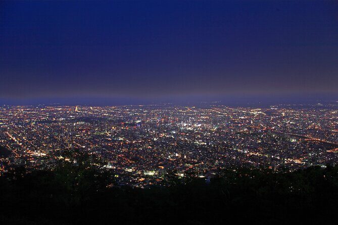 Sapporo Mt. Moiwa & Asahiyama Memorial Park Night View Trip - A Detailed Look at the Tour