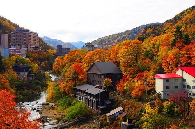 Sapporo Private Sightseeing Tour in Onsen with Special Package - Who Should Consider This Tour?